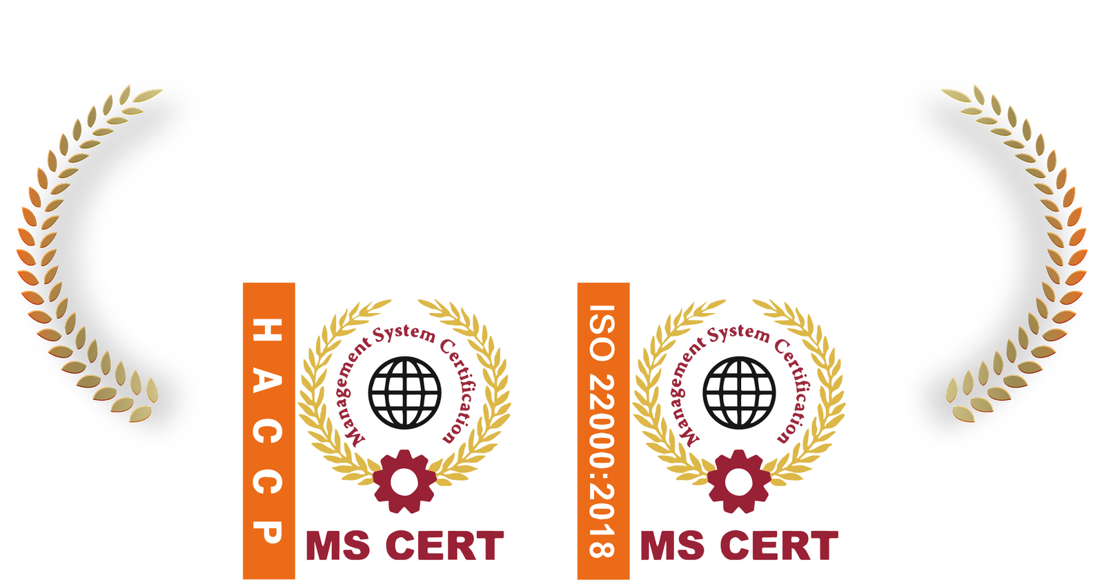 國際認證：HACCP 與 ISO 22000:2018